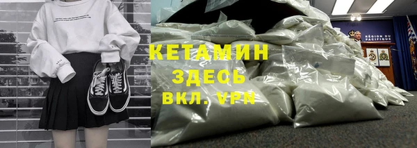 спиды Богородицк