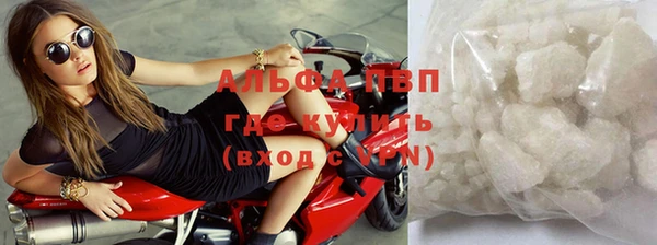 спиды Богородицк
