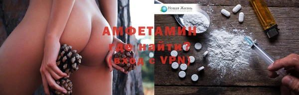 гашиш Богданович