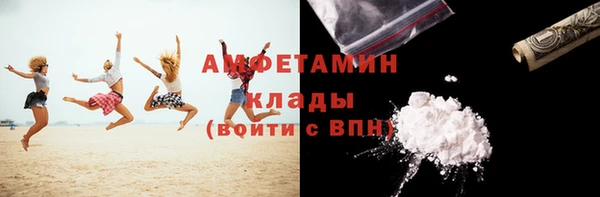 спиды Богородицк