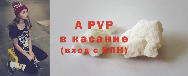 спиды Богородицк