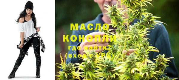 спиды Богородицк