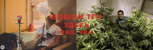 гашиш Богданович