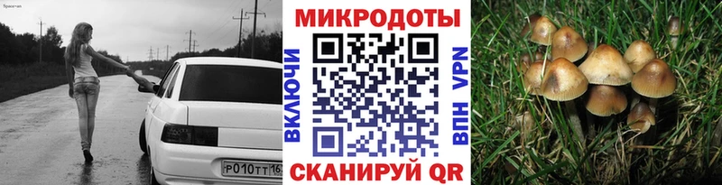 Купить где Якутск Псилоцибиновые грибы MAGIC MUSHROOMS
