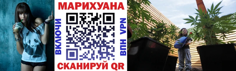 Купить  Якутск  Каннабис план 